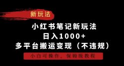 小红书笔记新玩法，日入1000+，多平台搬运变现(不违规)，小白可操作，保姆级教程【揭秘】