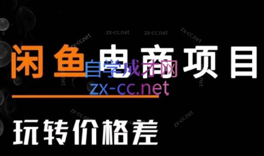 亿创繁星·闲鱼电商项目(玩转价格差)插图