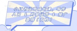 小红书运营成长课，写作入门&内容运营&接广变现【文档】