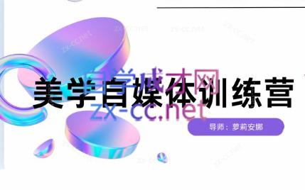 安娜·美学自媒体IP系统课插图