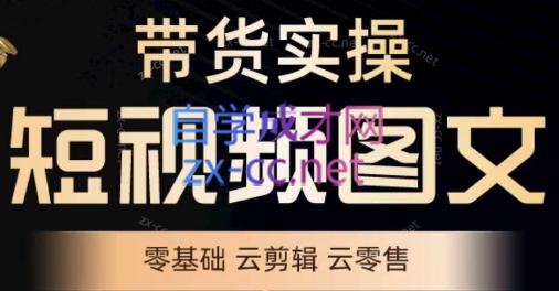 鑫哥·2024零基础短视频带货实操营插图