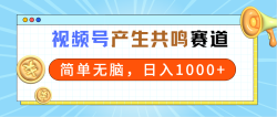 2024年视频号，产生共鸣赛道，简单无脑，一分钟一条视频，日入1000+