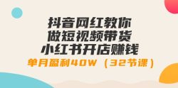 抖音网红教你做短视频带货+小红书开店赚钱，单月盈利40W(32节课)