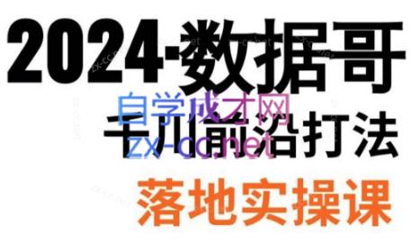 数据哥·2024年千川前沿打法落地实操课插图