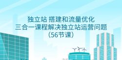 独立站 搭建和流量优化，三合一课程解决独立站运营问题(56节课)