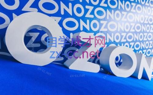 森哥·出海俄罗斯电商实操(2024)插图