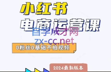 达哥·小红书电商运营(2024版)插图