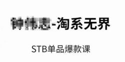 淘系无界STB单品爆款课(2024)，付费带动免费的核心逻辑，万相台无界关键词推广/精准人群的核心