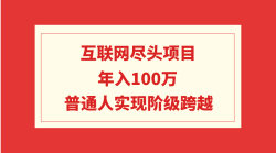 (9250期)互联网尽头项目：年入100W，普通人实现阶级跨越