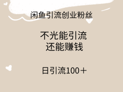 (9290期)闲鱼精准引流创业粉丝，日引流100＋，引流过程还能赚钱