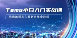 (9295期)Temu小白入门实战课：跨境拼多多电商培训 快速跑通从入驻到出单全流程-12节