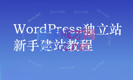 谷歌大叔·零基础+低成本+SEO友好插图