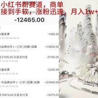 (9476期)小红书新赛道，商单接到手软，涨粉迅速，月入1w+