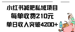 (9466期)小红书减肥私域项目每单收费210元单日成交20单，最高日入4200+