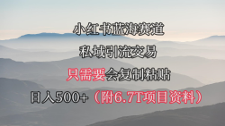 (9487期)小红书短剧赛道，私域引流交易，会复制粘贴，日入500+(附6.7T短剧资源)
