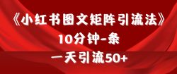 (9538期)《小红书图文矩阵引流法》 10分钟-条 ，一天引流50+