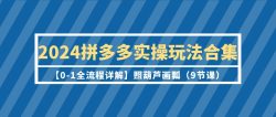 (9559期)2024拼多多实操玩法合集【0-1全流程详解】照葫芦画瓢(9节课)