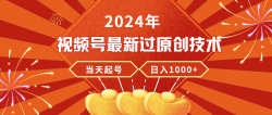 (9565期)2024年视频号最新过原创技术，当天起号，收入稳定，日入1000+