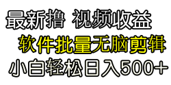 (9569期)发视频撸收益，软件无脑批量剪辑，第一天发第二天就有钱