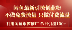 (9584期)2024年闲鱼币推广引流创业粉，不做免费流量，只做付费流量，单日引流100+