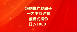 (9586期)短剧推广野路子，一刀不剪纯搬运，傻瓜式操作，日入1000+