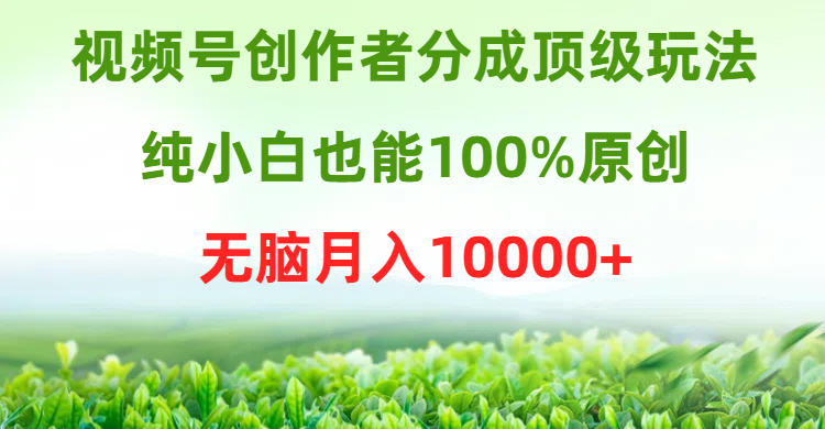 (9608期)视频号创作者分成顶级玩法，纯小白也能100%原创，无脑月入10000+插图