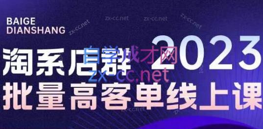 白戈电商·23年淘系批量高客单+24年全域电商矩阵插图