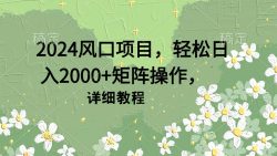 (9652期)2024风口项目，轻松日入2000+矩阵操作，详细教程