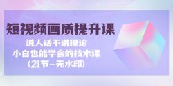 (9659期)短视频-画质提升课，说人话不讲理论，小白也能学会的技术课(21节-无水印)