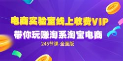 (9859期)电商-实验室 线上收费VIP，带你玩赚淘系淘宝电商(245节课-全面版)