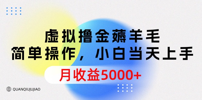 (9864期)虚拟撸金薅羊毛，简单操作，小白当天上手，月收益5000+插图