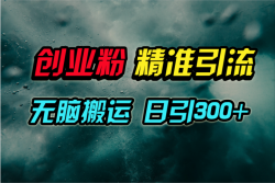 (9875期)视频号纯搬运日引300+创业粉教程！