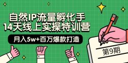 (9881期)自然IP流量孵化手 14天线上实操特训营【第9期】月入5w+百万爆款打造 (74节)