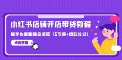 (9883期)最新小红书店铺开店带货教程，新手也能跑通全流程(6节课+爆款公式)