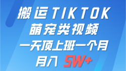 (9931期)一键搬运TIKTOK萌宠类视频 一部手机即可操作 所有平台均可发布 轻松月入5W+