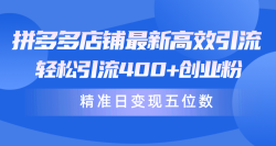(10041期)拼多多店铺最新高效引流术，轻松引流400+创业粉，精准日变现五位数！