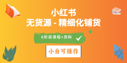 2024小红书电商风口正盛，全优质课程、适合小白(无货源