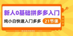 新人0基础拼多多入门，​纯小白快速入门多多(21节课