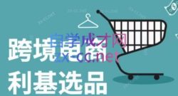 阿甘·2024年跨境电商选品案例