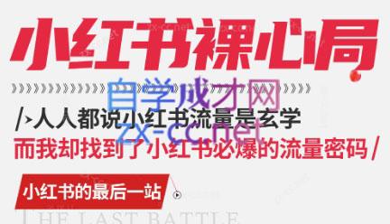 月月老师·小红书低粉高变现课插图