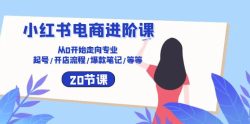小红书电商进阶课：从0开始走向专业 起号/开店流程/爆款笔记/等等(20节