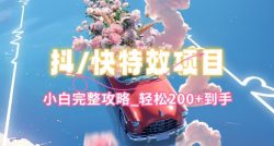 抖音快手双平台特效教程，玩法简单，小白完整攻略，轻松100+到手【揭秘】