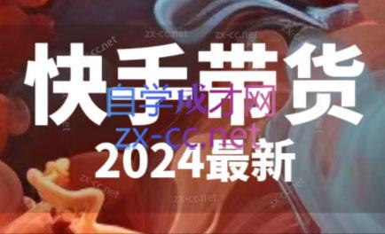 快手带货(2024最新)插图