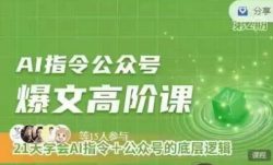 Ai指令公众号高阶课，学会ai指令+公众号的底层逻辑