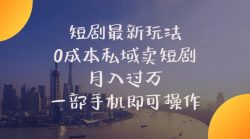 短剧最新玩法    0成本私域卖短剧     月入过万     一部手机即可操作