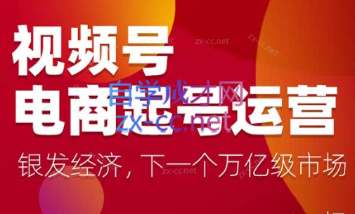 陈大黑牛·视频号电商起号运营课(更新到24年5月)插图
