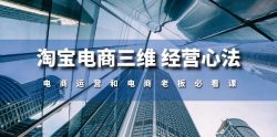 淘宝电商三维 经营心法：电商运营和电商老板必看课(59节课