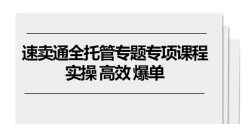 速卖通 全托管专题专项课程，实操 高效 爆单(11节课