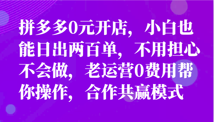 最新拼多多优质项目小白福利，两天销量过百单，不收费、老运营代操作插图