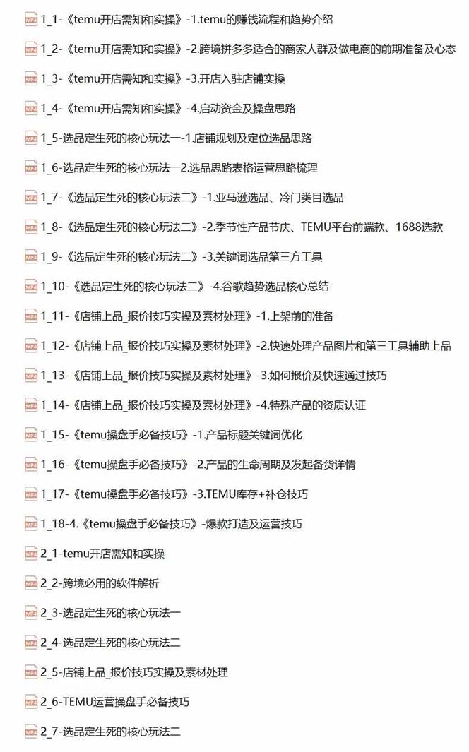 2024-TEMU拼多多·跨境开店、运营、选品(25节视频课插图1
